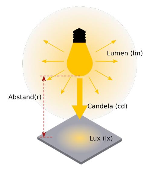 Examining the Science Behind Metabolism Tracking with Lumen