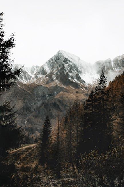 Quality‌ Versus cost:​ A‌ Comparative Analysis‍ of ‍Reformation and Zara