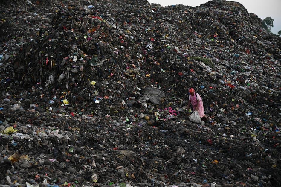Unpacking Sustainable Practices: Transparency and Ethics in‍ Production