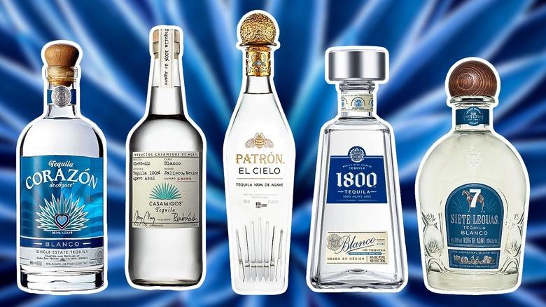 A Taste Test: Flavor Profiles and Sensory Experience