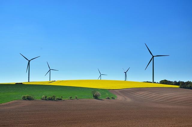 Consumer Responsibility: Making Informed Choices in Sustainable Fashion