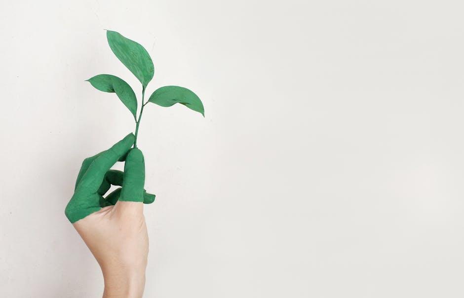 Sustainable ‍Choices in⁣ the Age of dupes
