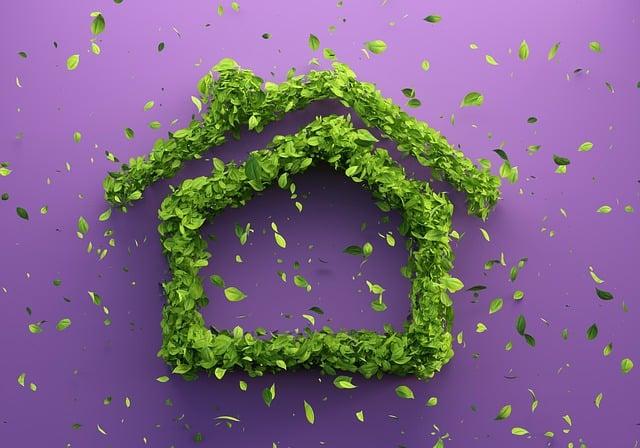 Essential Sustainable Brands to Consider for Your Capsule Collection