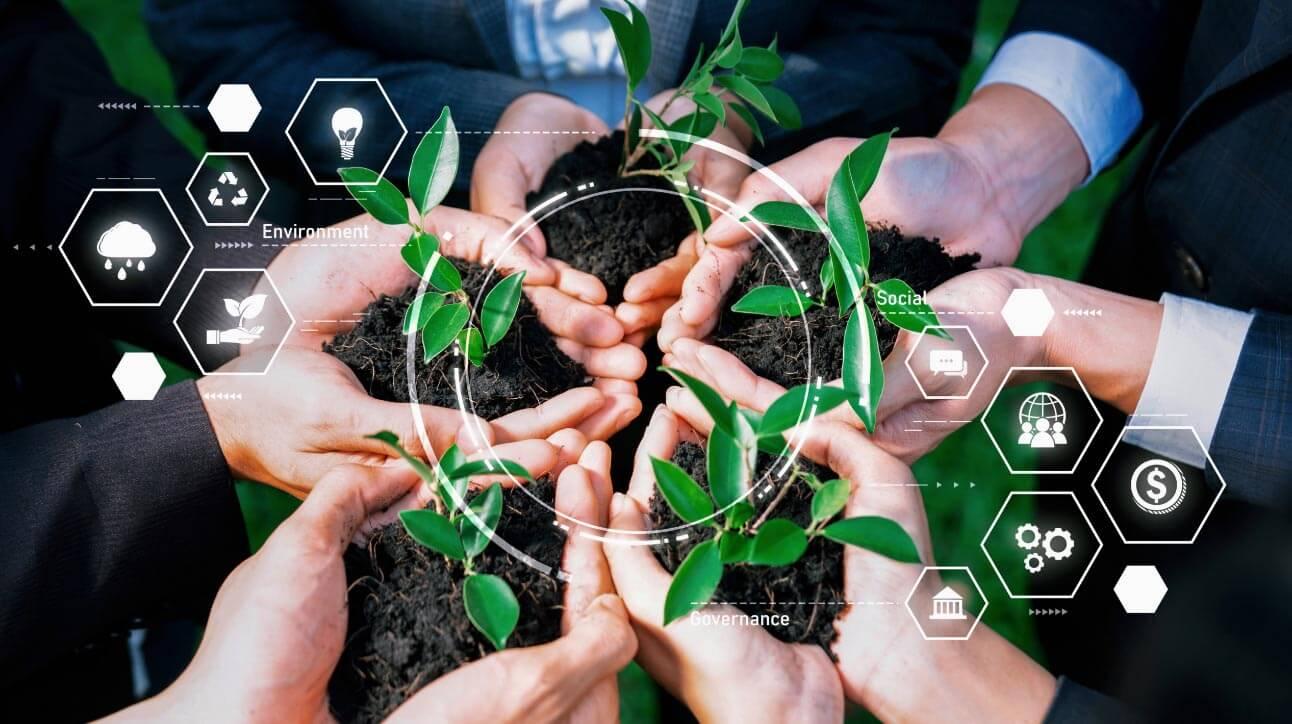 Sustainability Under ‍Scrutiny: Fiber Source and Environmental Impact