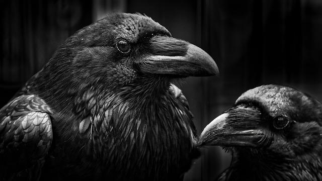 Real-World Applications: When black and White Meets Creativity
