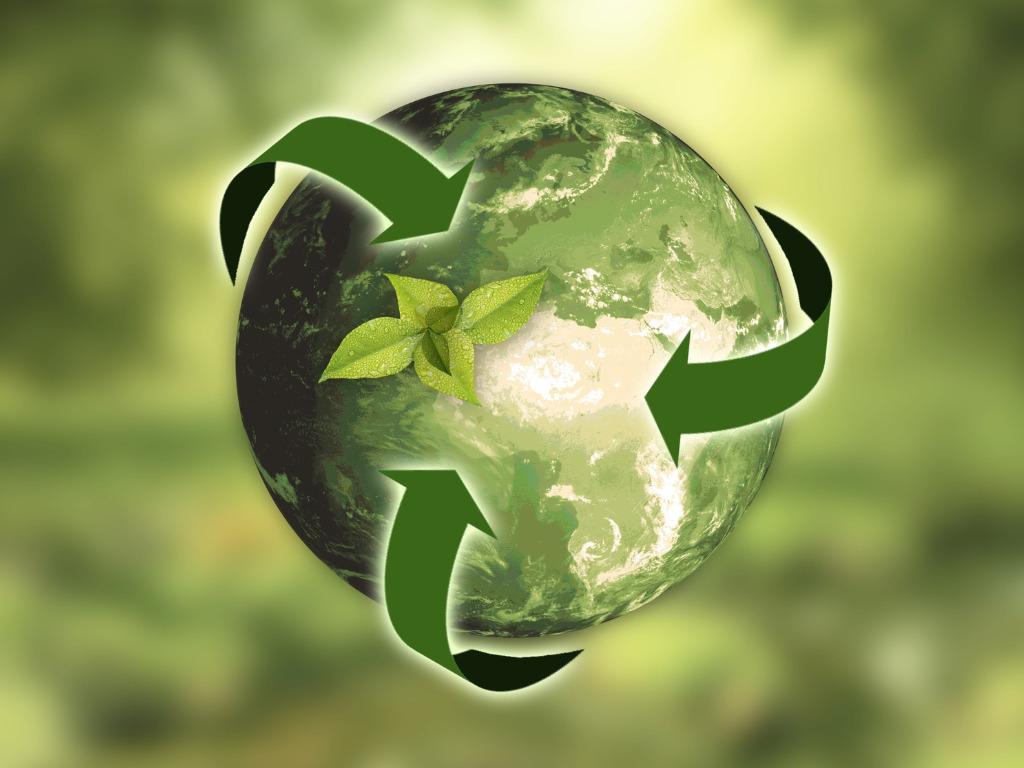 Steps Towards Authentic Sustainability: Practical Recommendations for Brands