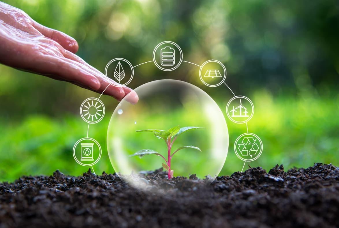 Assessing the Environmental impact of Reformation's Supply Chain