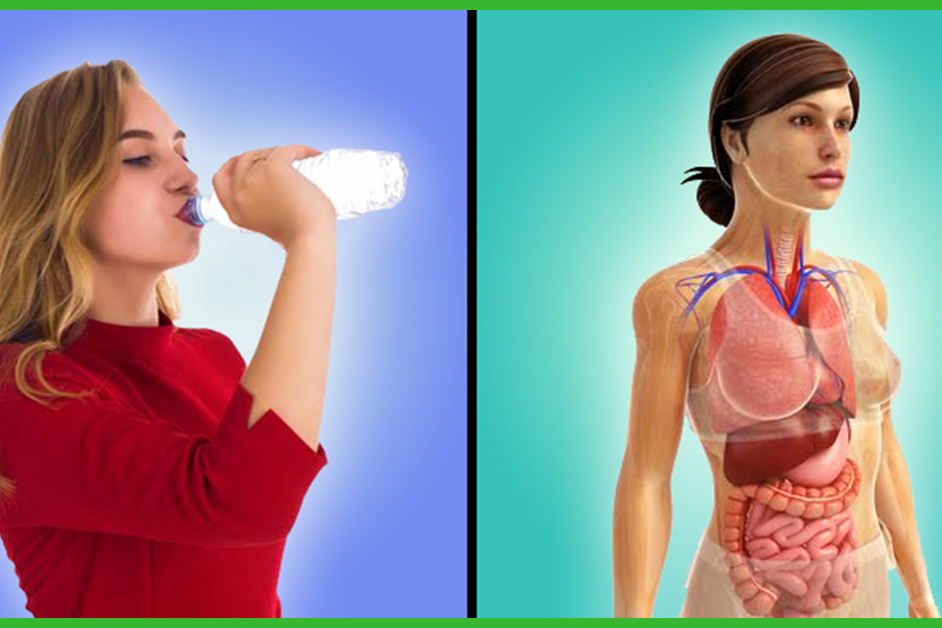 10 Necessary Advantages Of Consuming Water On An Empty Abdomen