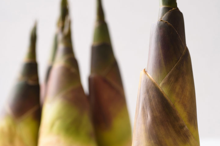 7 Fantastic Nicely being Benefits Of Bamboo Shoots