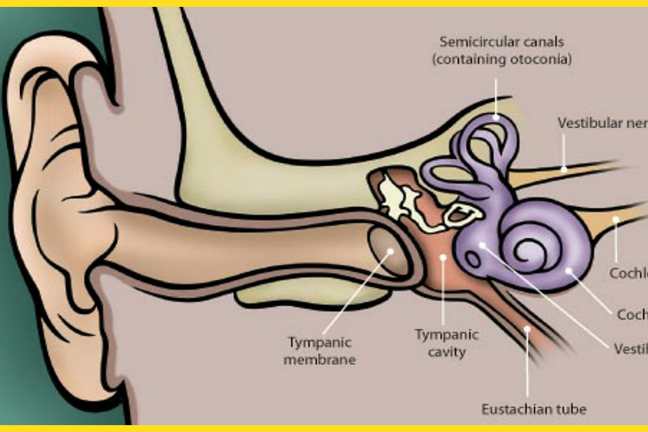 7 Comforting Yoga Asanas That Will Assist You Deal With Vertigo