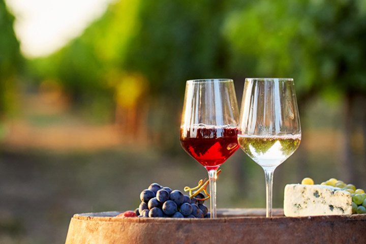 Distinction Between Pink And White Wine: Which One Is Extra wholesome?