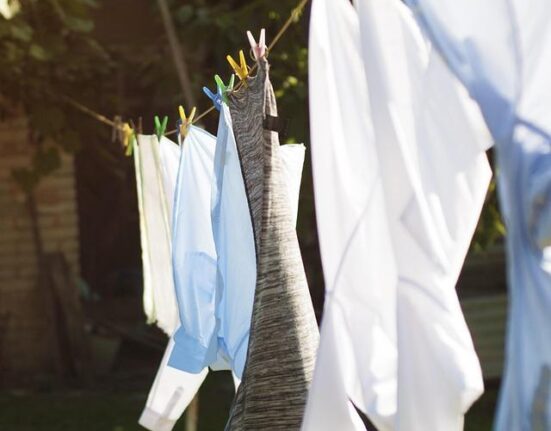 Reformation Linen Set Review Ethical, Stylish, and Comfortable for Summer?