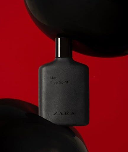 Can ZARA Keep Up with the Trends Like Balenciaga?