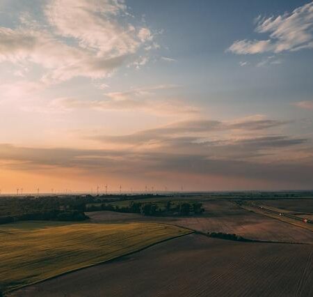 How Sustainable Is Reformation Really? Looking Past the Marketing