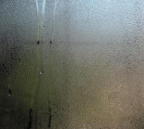 Sweat-Wicking Test – Which Brand Keeps You Dryest?